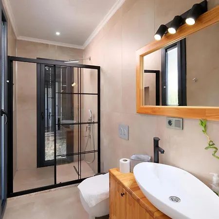 Olea - Relax In Nature